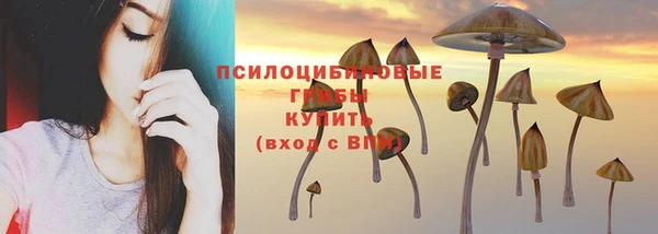 spice Кулебаки