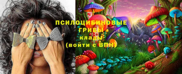хмурый Куйбышев
