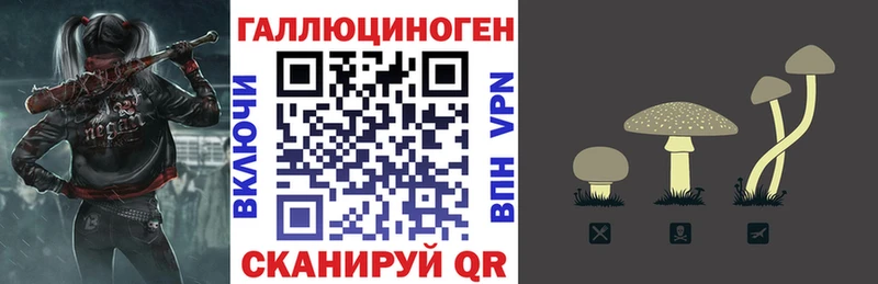 Галлюциногенные грибы Psilocybine cubensis  Крым 